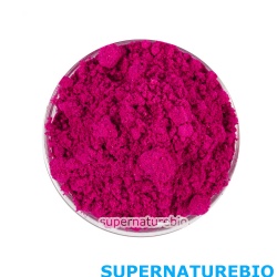 100% Natural Freeze Dried Pink Pitaya Powder