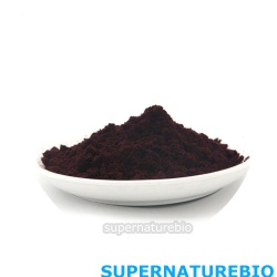 Freeze Dried Mulberry Powder
