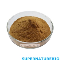 Chaga Mushroom Extract